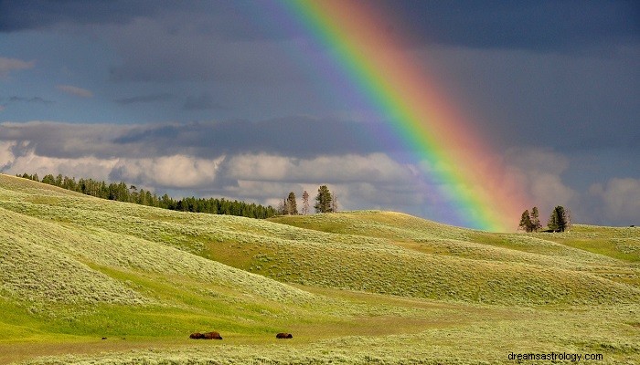 What Do Rainbow Dreams Mean? Expert Interpretations & Symbolic Insights