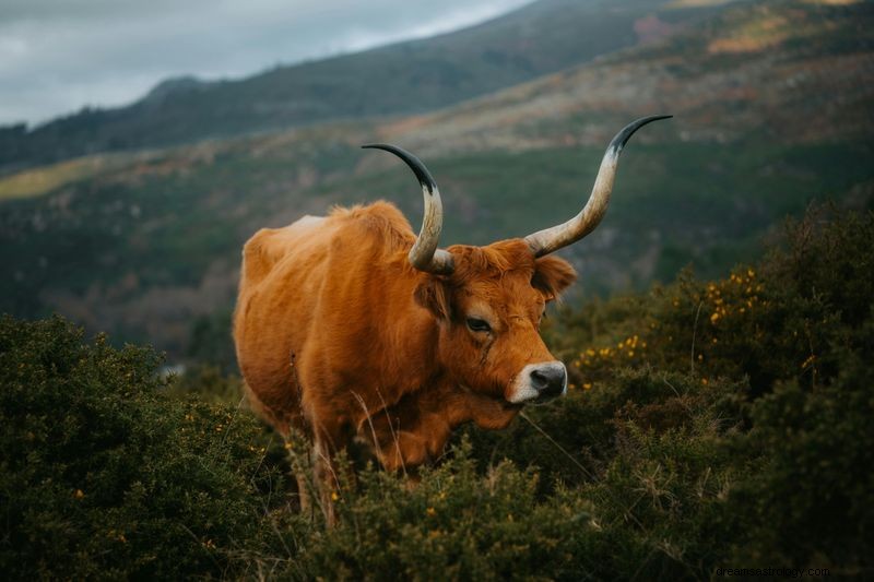 Your Lucky Day in March 2025: Chinese Zodiac Predictions for Every Sign