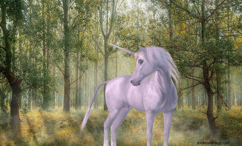 Unicorn Dreams: Symbolic Meanings and Interpretations