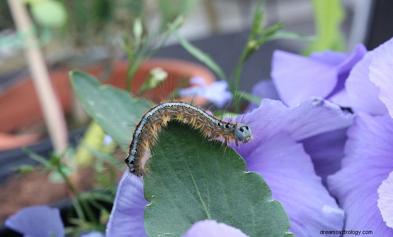 What Your Dreams About Maggots Reveal About Your Inner State