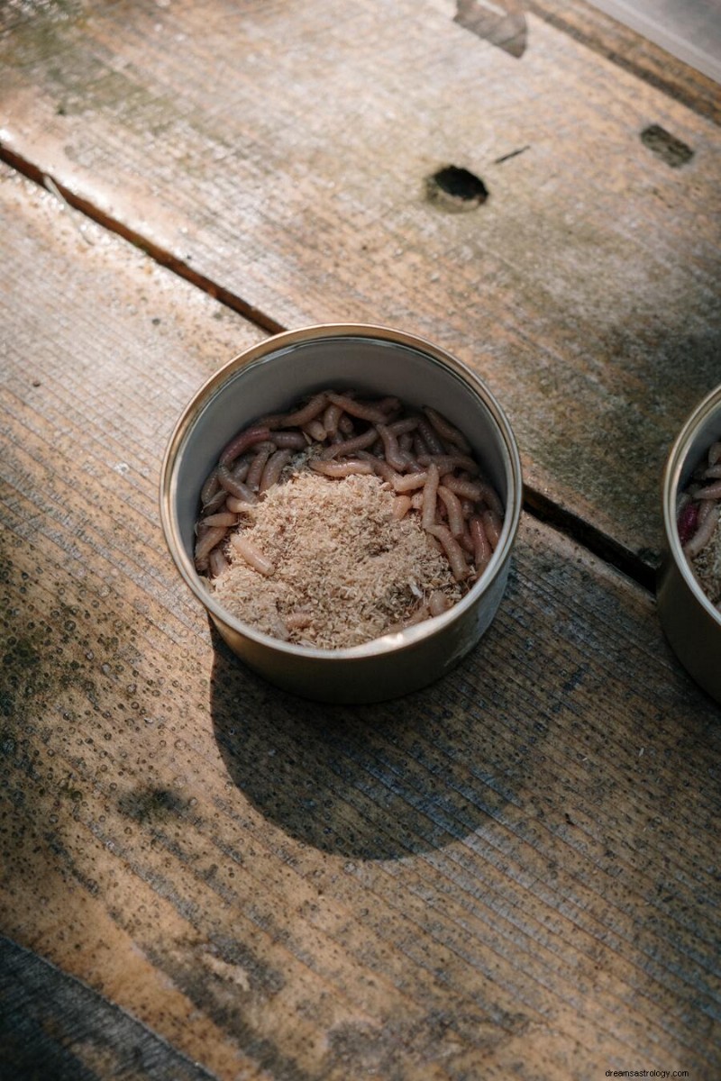 Dreaming of Maggots: A Rare Spiritual Sign Revealed
