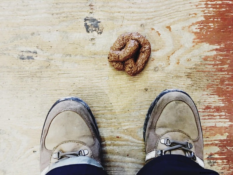 7 Psychological Meanings of Dreaming About Pooping in Front of Others