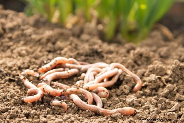 Unlocking the Hidden Messages: What Dreaming About Worms Really Means