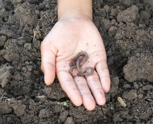 Unlocking the Hidden Messages: What Dreaming About Worms Really Means
