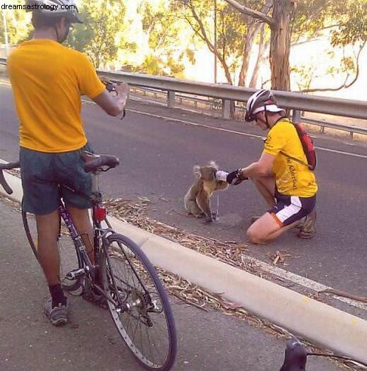 Australische Horoskopvorhersagen 