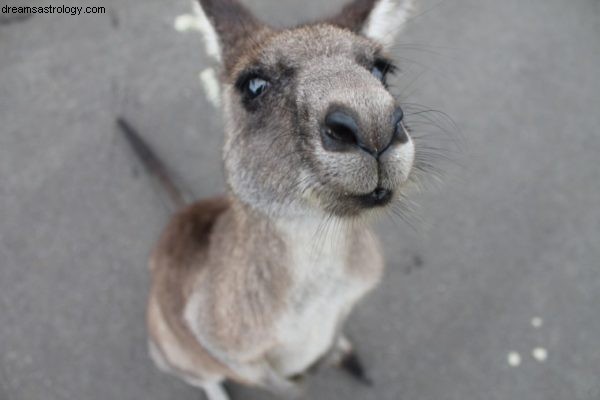 Australian Liberal Party – Förutsägelser i april och maj 