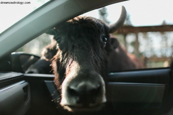 Uranus in Stier - Ware voorspellingen voor 2018 