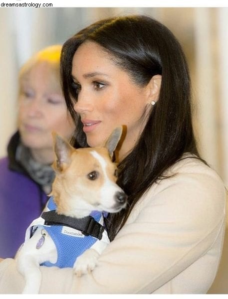 Meghan, Harry, Archie och horoskopet! 