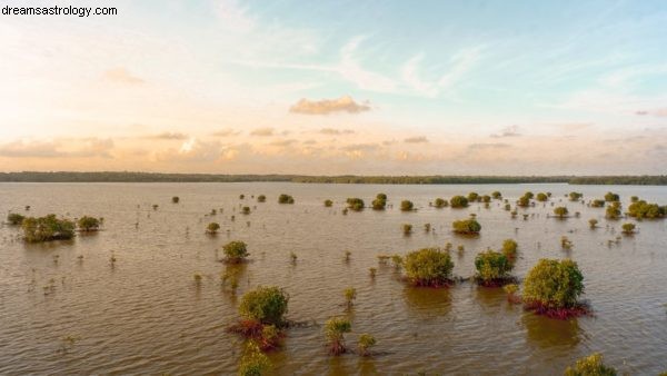 Previsões da Astrologia da Crise Climática 