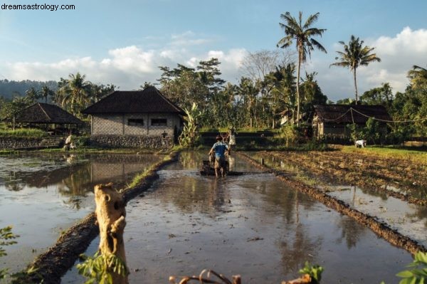 Previsões da Astrologia da Crise Climática 