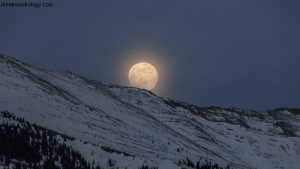 Mercury Retrograde Fiskene + Aquarius Sun + Leo Full Moon =Noe seriøst vilt vær 