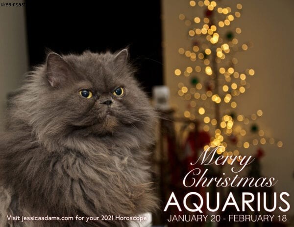 動物占星術のクリスマスeカード 