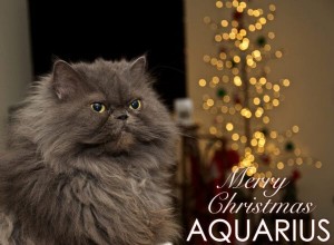 Animal Astrology Jul e-kort 