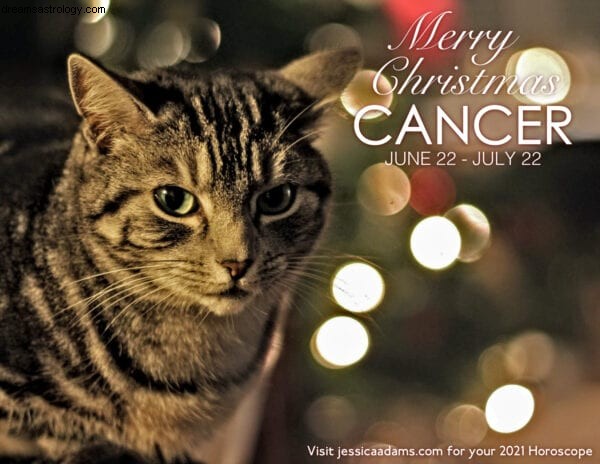 Postales navideñas de astrología animal 