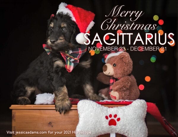 Postales navideñas de astrología animal 