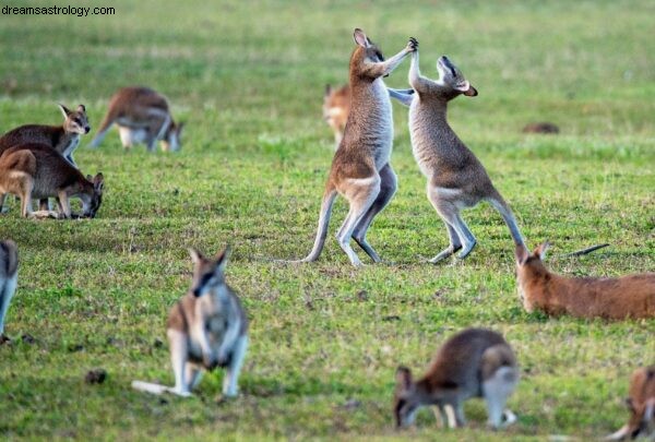 Australia en 2021 Pronóstico de astrología psíquica 