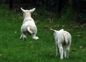 Hoe te springen van vreugde Nu de lente is begonnen 