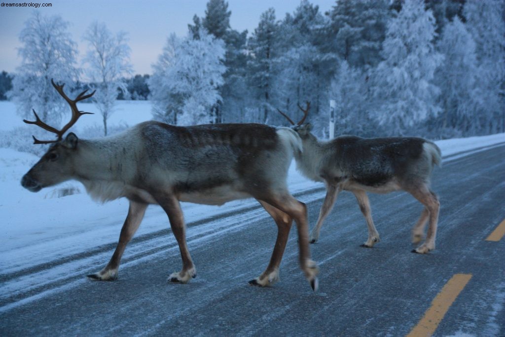 Vædderen december 2018 