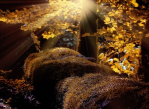 Capricorno novembre 2016 