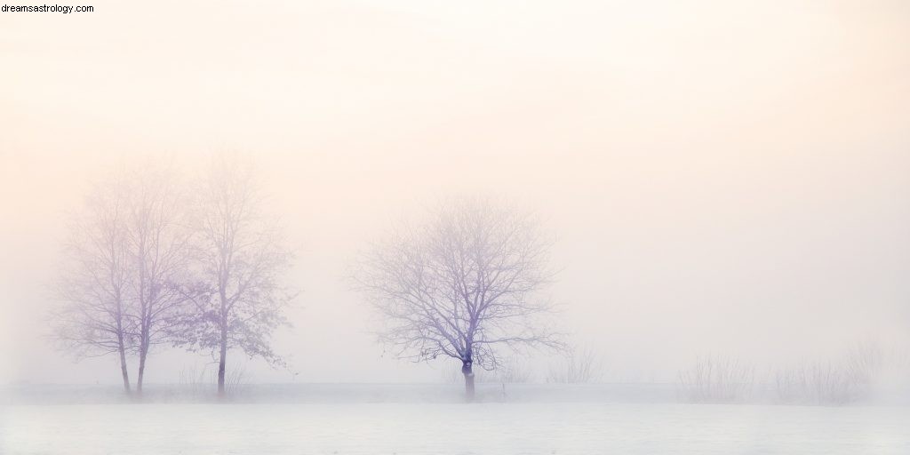 Capricorne décembre 2017 