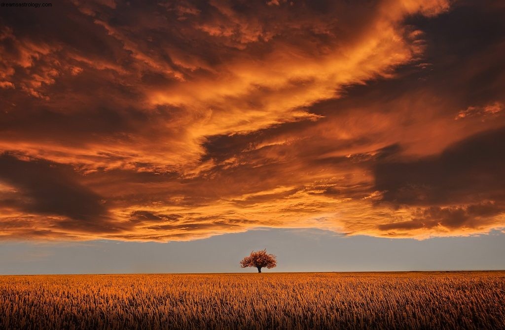 Stenbukken juli 2019 