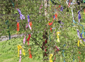 Stenbukken maj 2019 