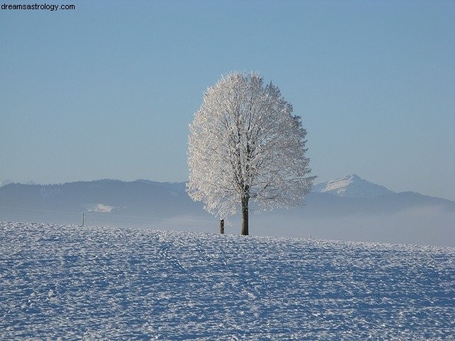 Stenbocken december 2020 