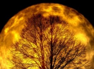 Pleine Lune Taureau :Un refuge sûr 