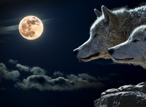 Volle maan Steenbok:extreme maatregelen 