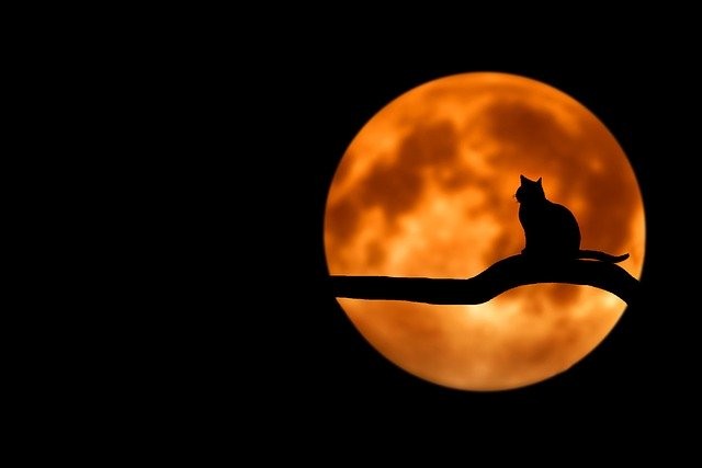 Full Moon Taurus:Hledání bezpečí v ohnivé situaci 