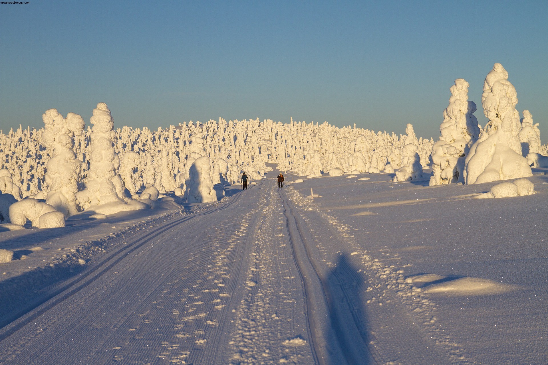 Vægten december 2018 