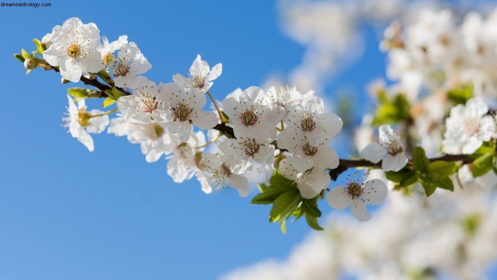 Vågen maj 2019 