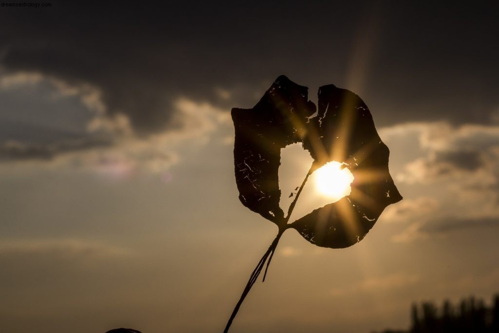 Vågens horoskop juni 2022 