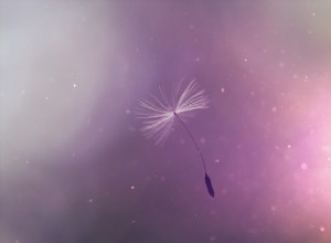 Horoscope Balance Février 2022 