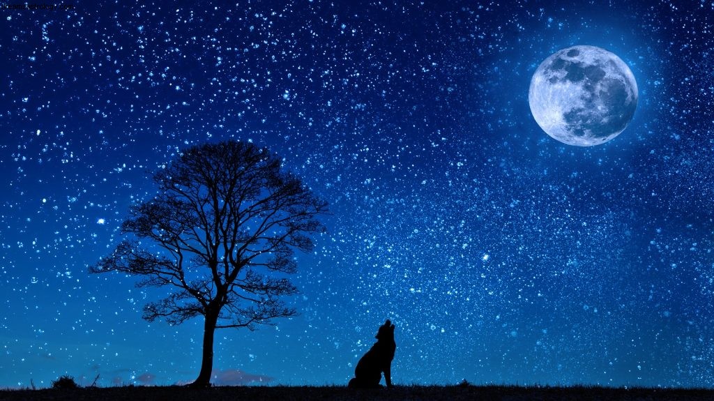 12 tips for Steinbukken måneformørkelse 