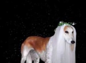 Månedlige stjerner september 2011 