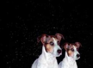 Estrelas mensais para junho de 2011 