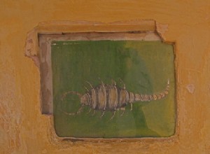 Schorpioen Maandelijkse Sterren Maart 2014 
