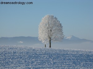 Maandhoroscoop Vissen december 2015 