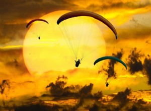 Skytten juli 2019 
