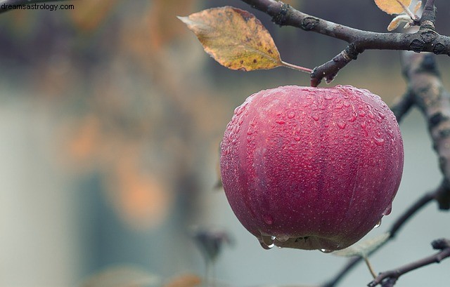 Taureau Novembre 2019 