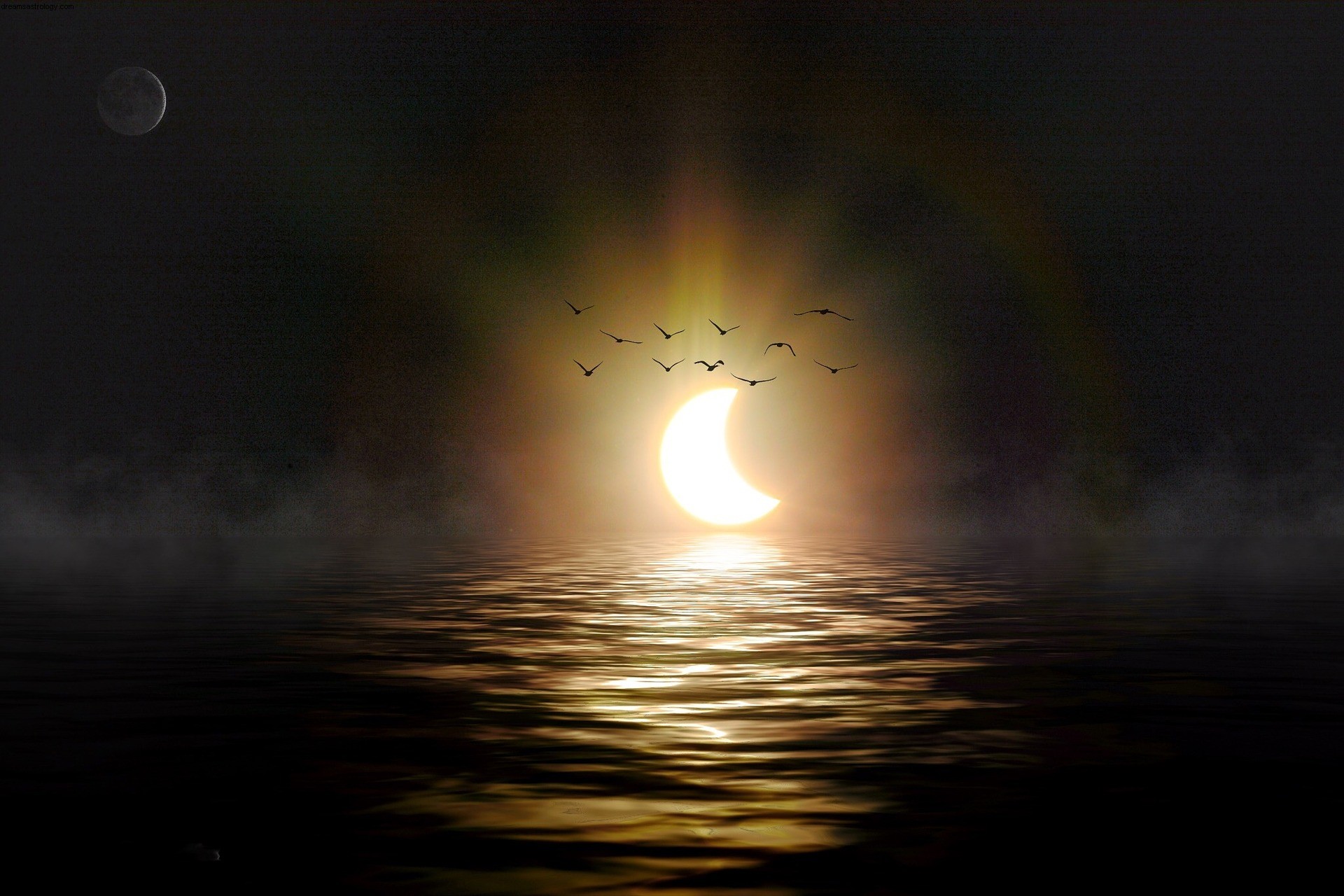 Solar Eclipse Leo:Vindere og tabere 