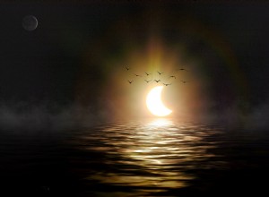 Solar Eclipse Leo:Vítězové a poražení 