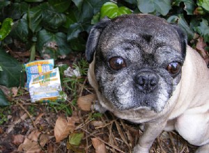 Které hvězdné znamení s největší pravděpodobností vyhraje v loterii? 