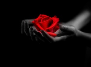 Venuše se obrací přímo:Smoothing Things Over 