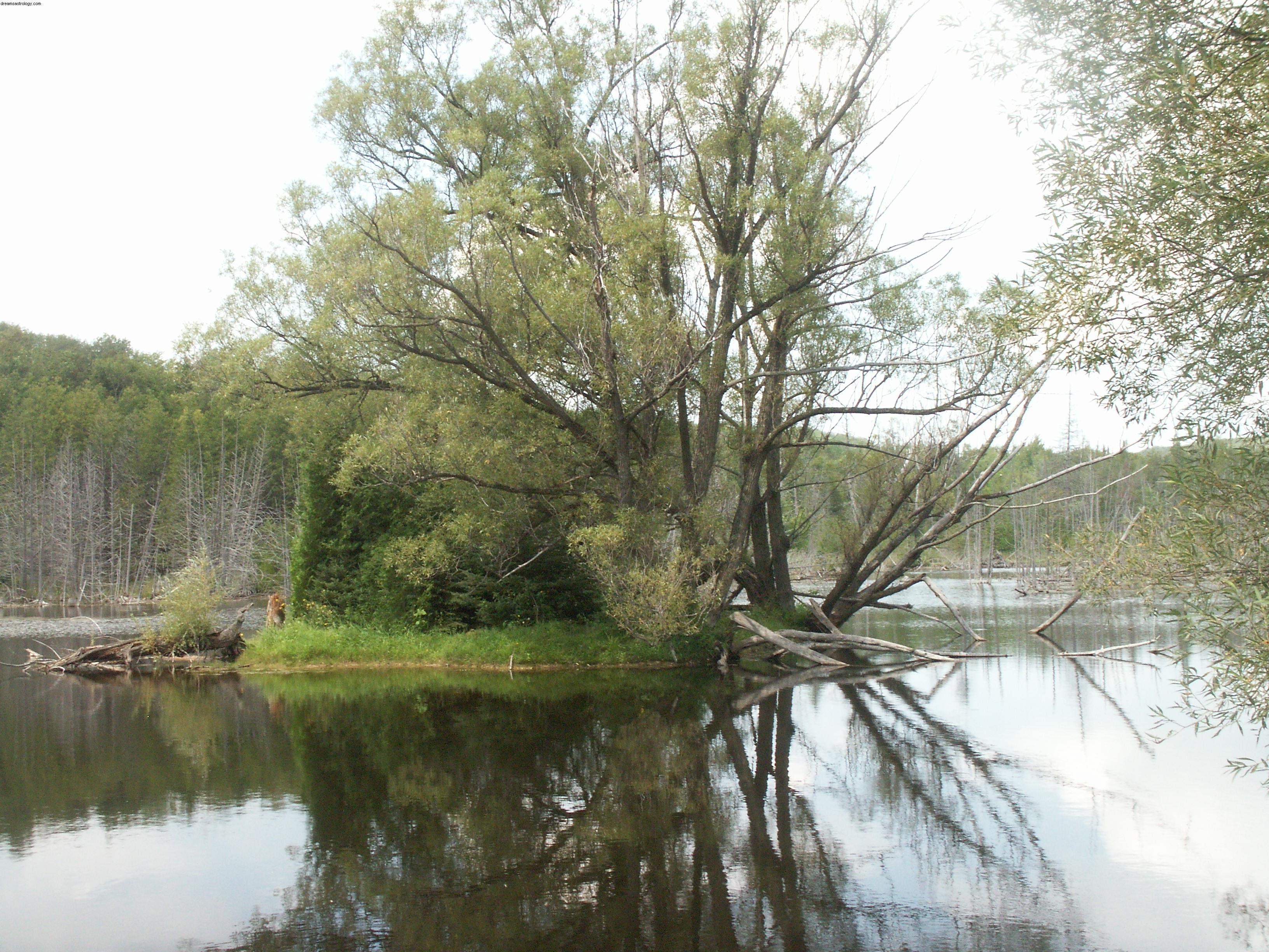 Juli Water Grand Trine:Kreeft, Schorpioen, Vissen 