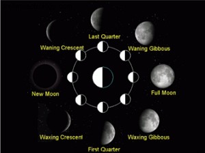 Lezione online sulle fasi lunari di Keplero 