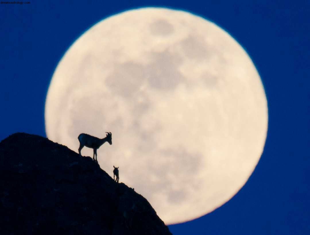 Luna piena in Capricorno – Tempo di impegno 