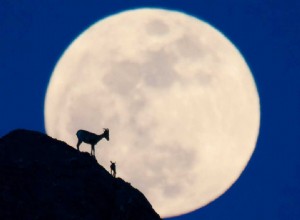 Volle Maan in Steenbok - Tijd voor toewijding 