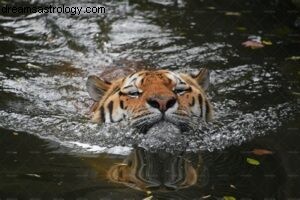 ~31,2022 JANUARI, NIEUWE MAAN IN STEENBOK/SHRAVANA~WATER TIGER ~ 